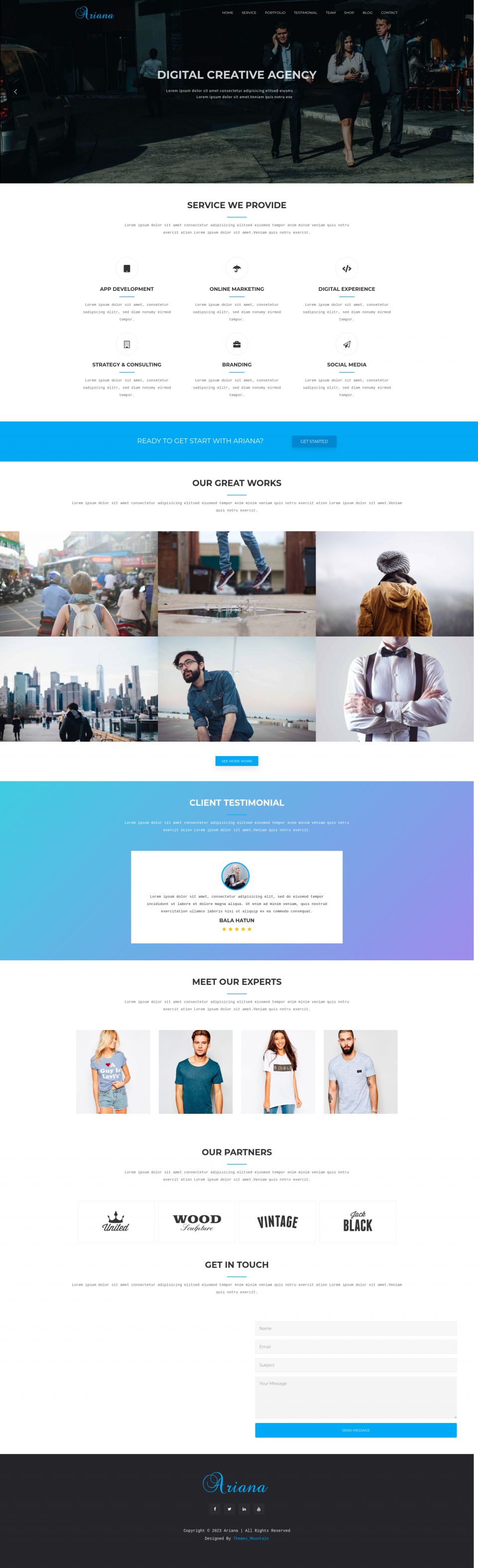 WordPress template ThemeForest Ariana