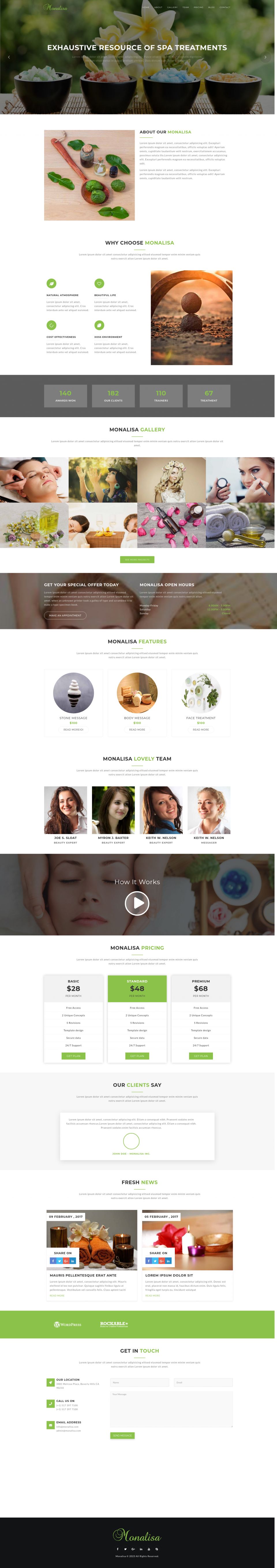 WordPress template ThemeForest Monalisa