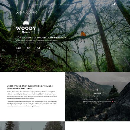 ThemeForest Woody