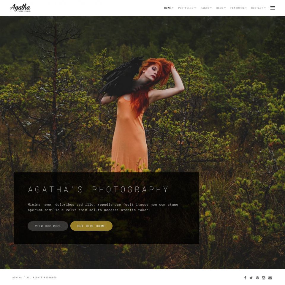 WordPress template ThemeForest Agatha