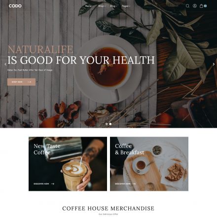 ThemeForest Codo