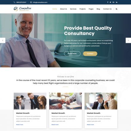 ThemeForest Consultox