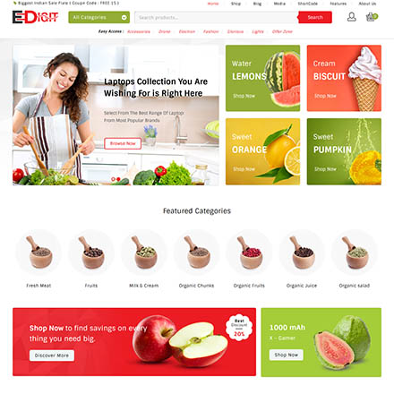 ThemeForest eDigit