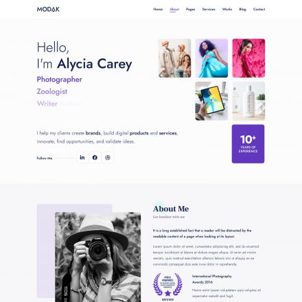 ThemeForest Modak