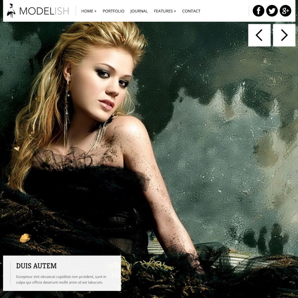 WordPress template ThemeForest Modelish