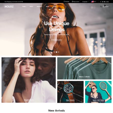 ThemeForest Moleez