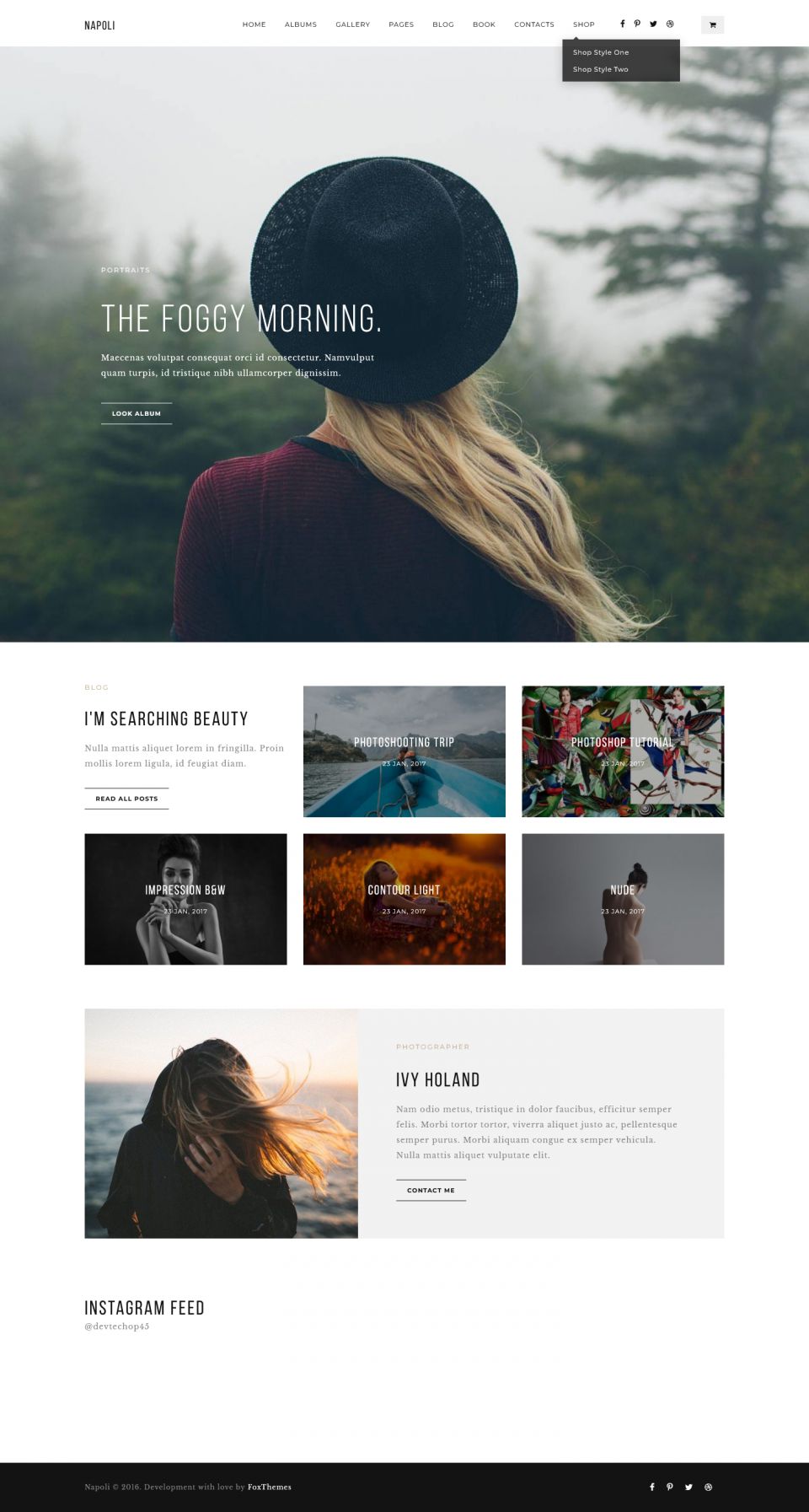 WordPress template ThemeForest Napoli