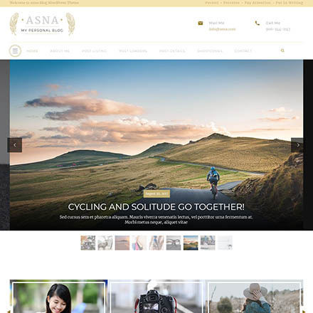 ThemeForest Asna