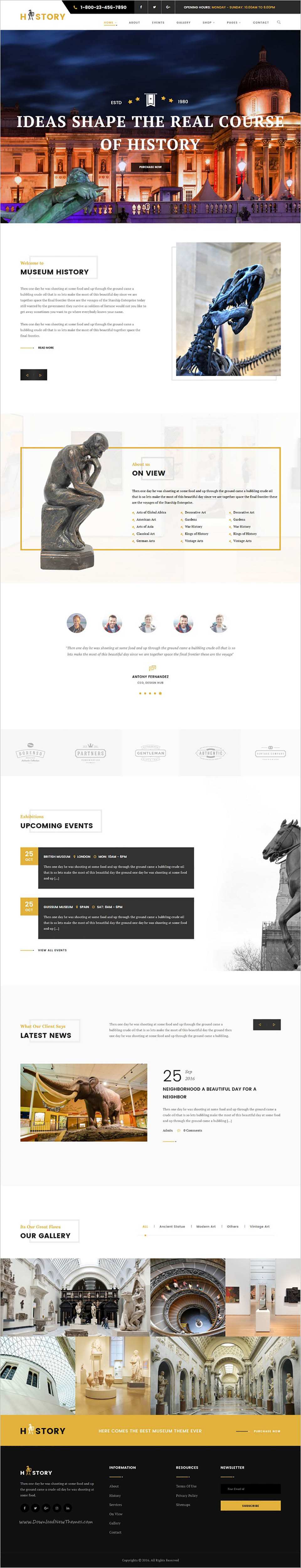 WordPress template ThemeForest History