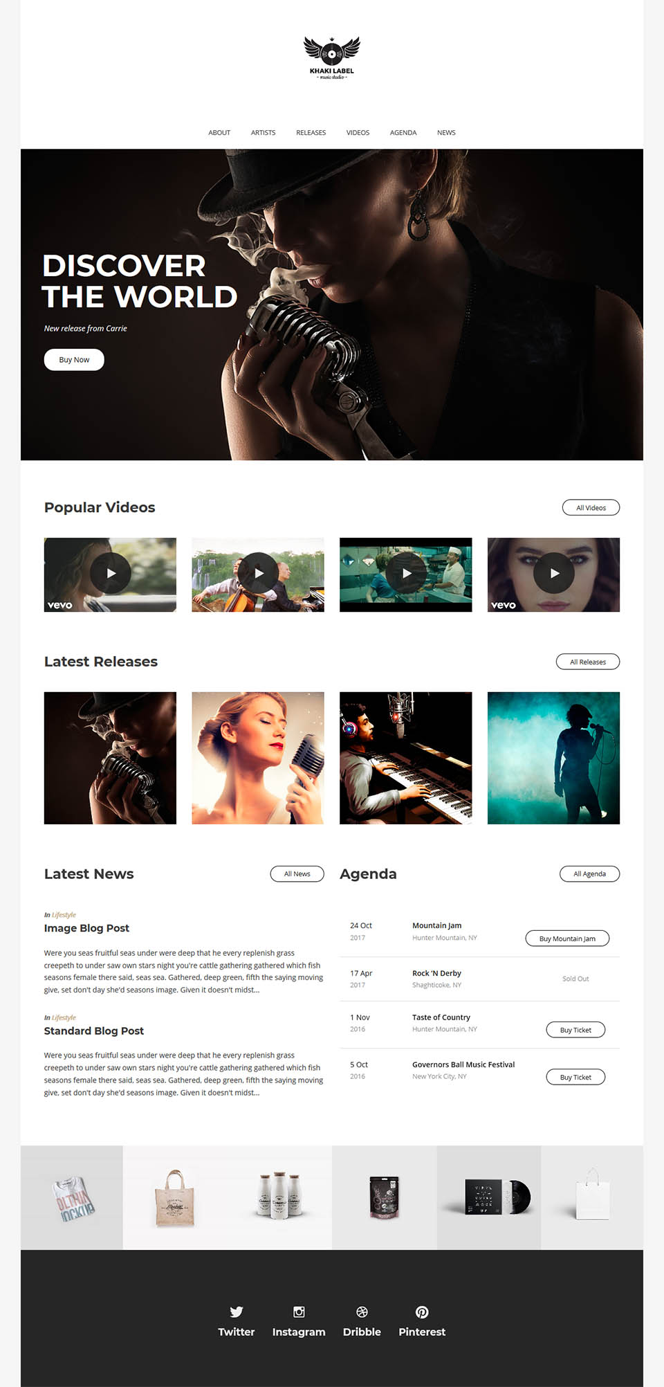 WordPress template ThemeForest Khaki