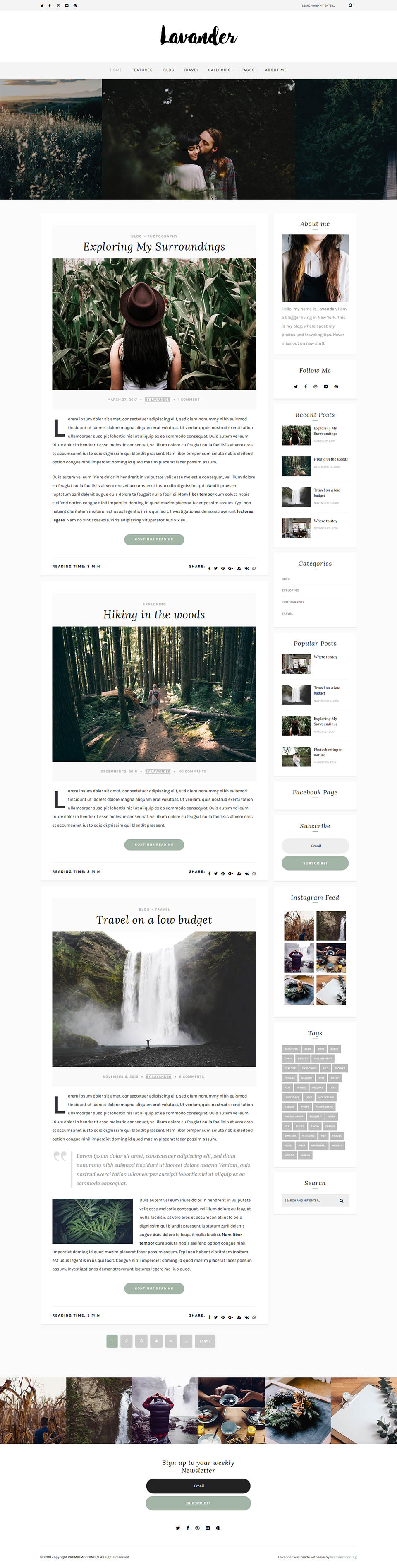 WordPress template ThemeForest Lavander