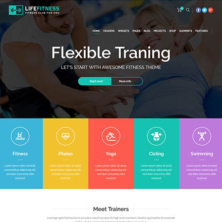 ThemeForest Life Fitness