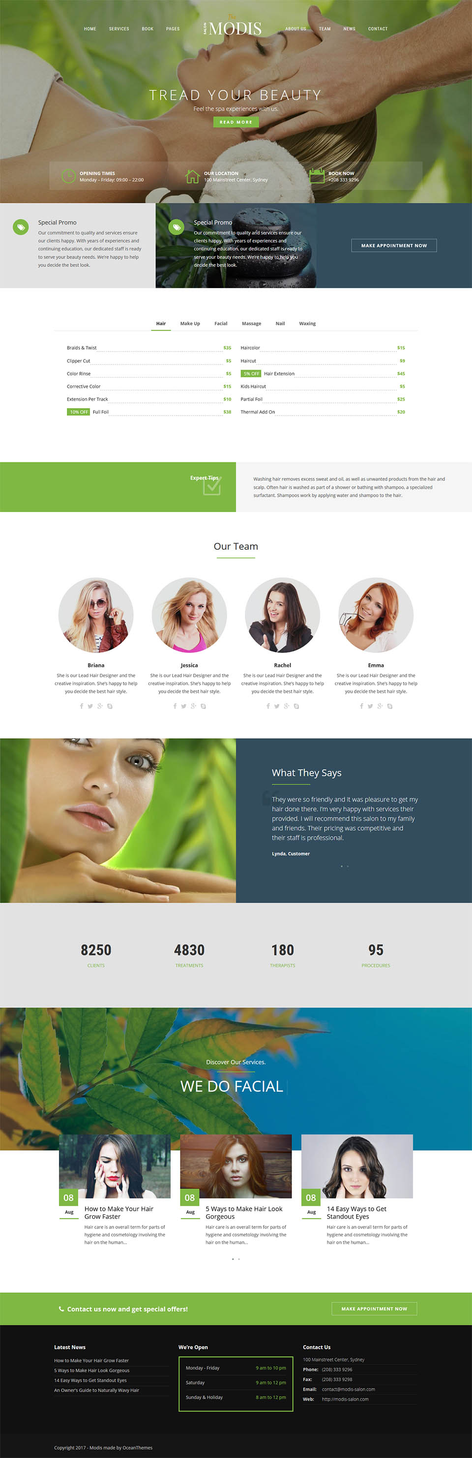 WordPress template ThemeForest Modis