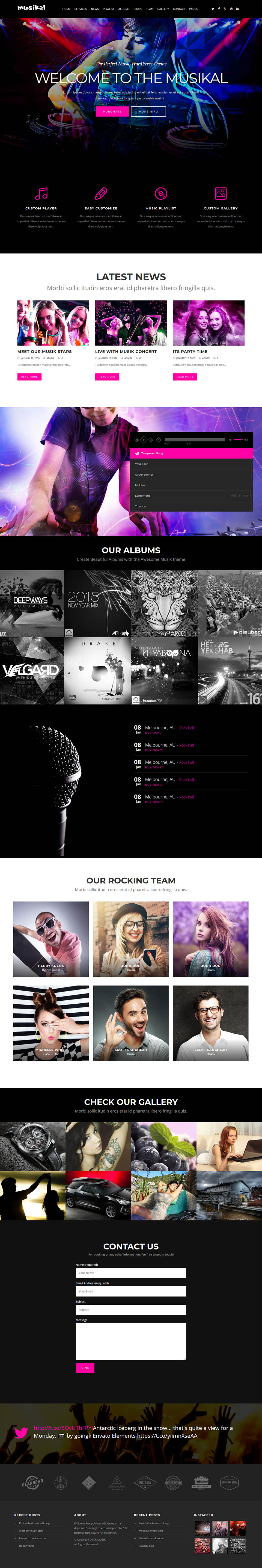 WordPress template ThemeForest Musikal