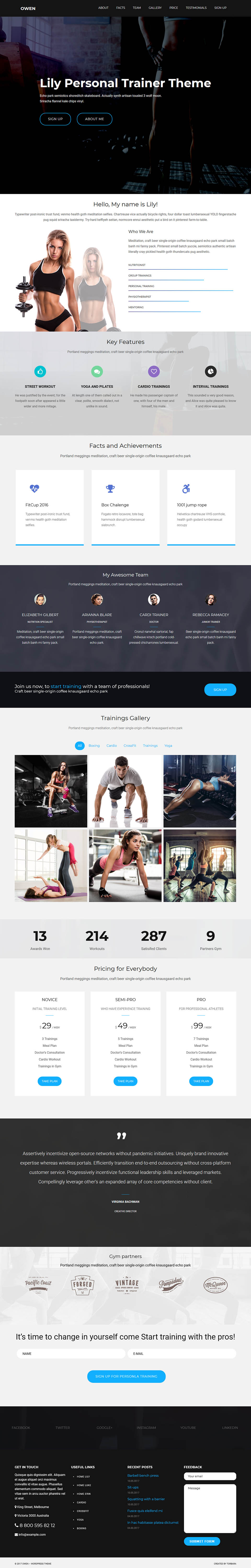 WordPress template ThemeForest Owen