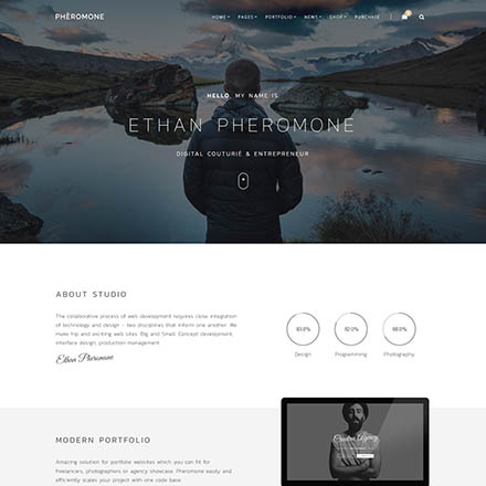 ThemeForest Pheromone