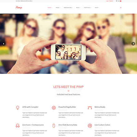 ThemeForest PIMP