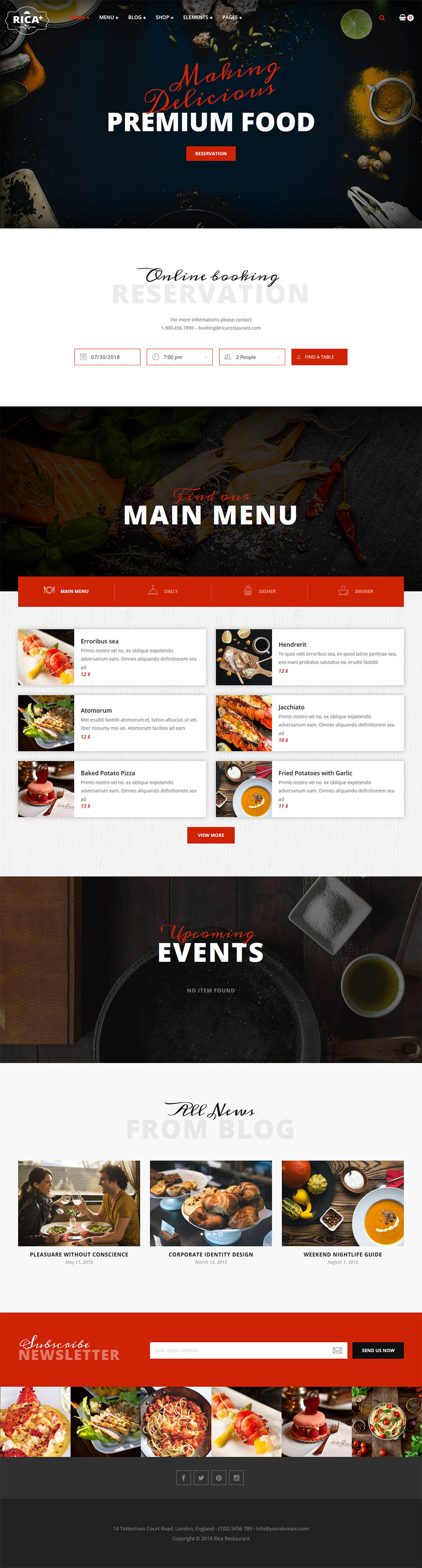 WordPress template ThemeForest Rica Plus