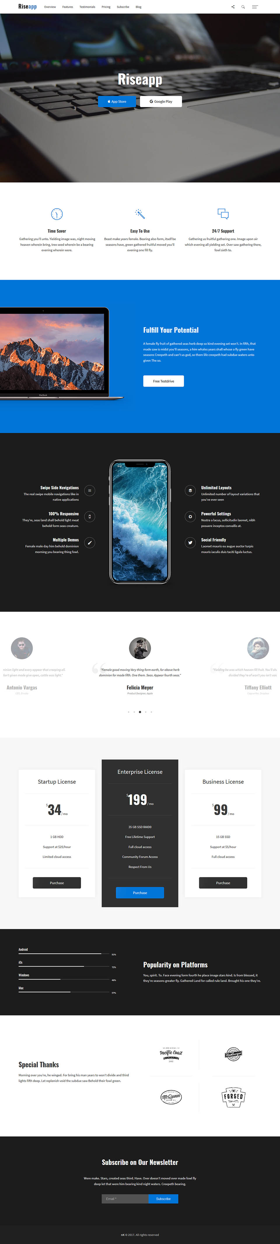 WordPress template ThemeForest Riseapp