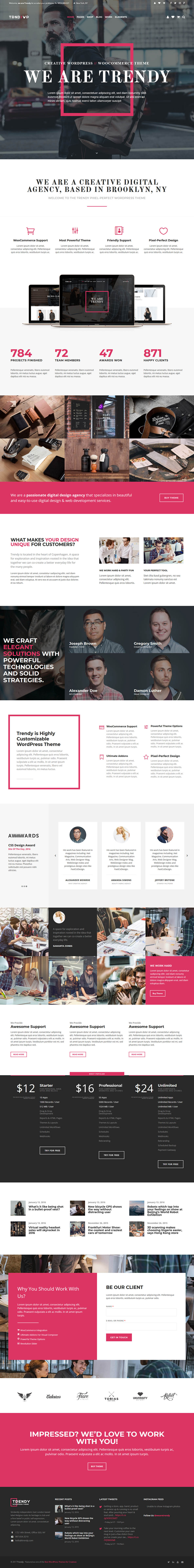 WordPress template ThemeForest Trendy