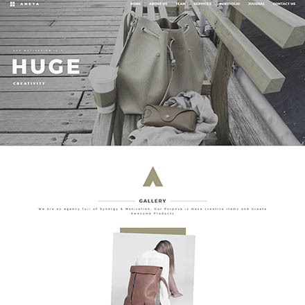 ThemeForest Aneta