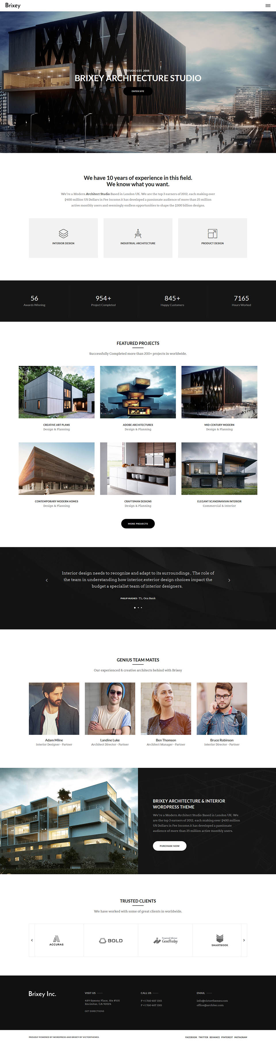 WordPress template ThemeForest Brixey