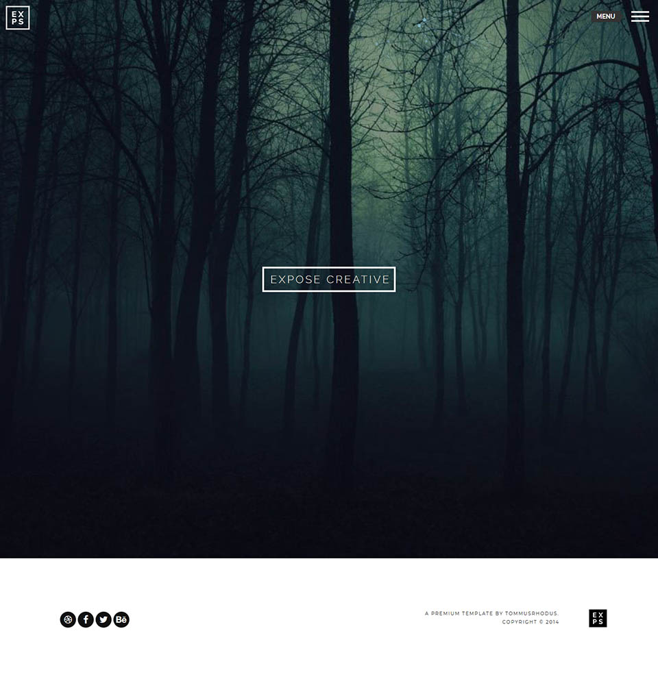 WordPress template ThemeForest EXPOSE