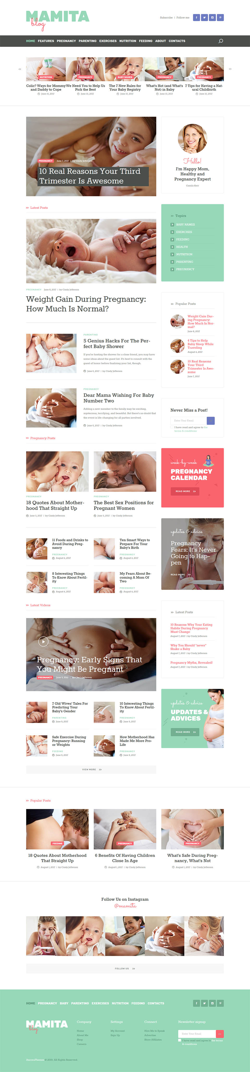 WordPress template ThemeForest Mamita