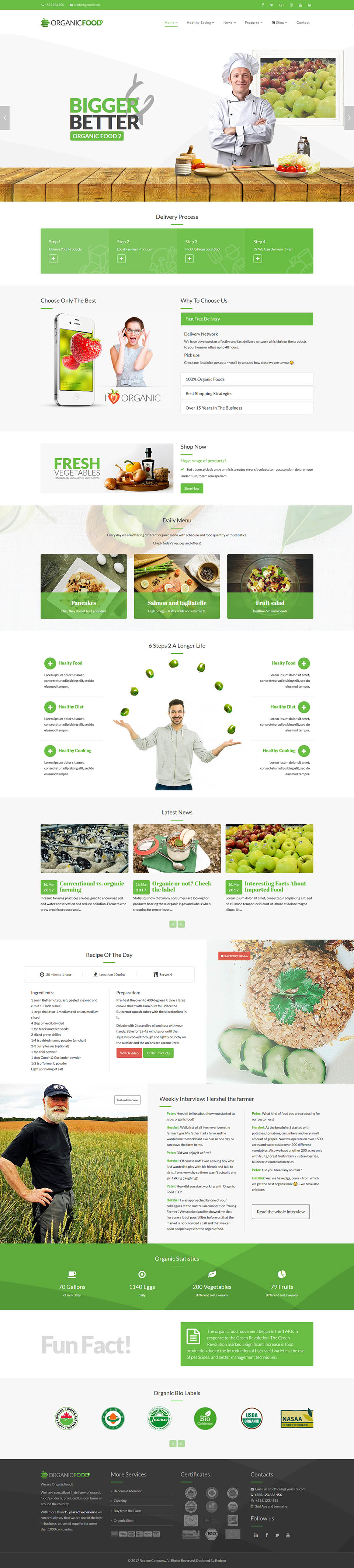 WordPress template ThemeForest Organic Food