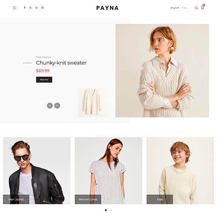 ThemeForest Payna