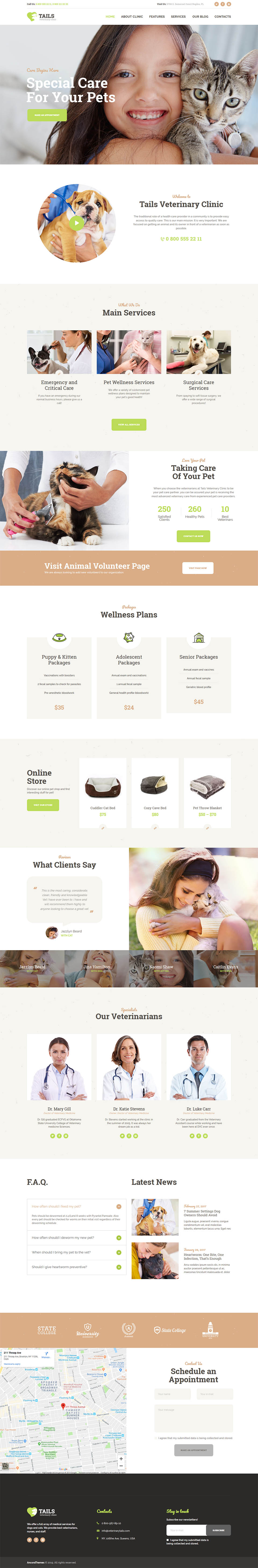 WordPress template ThemeForest Tails