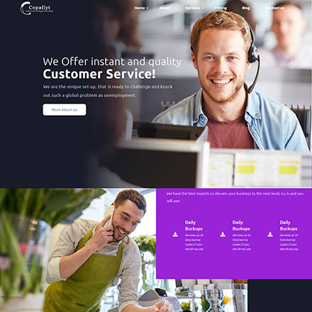 ThemeForest Copallyt