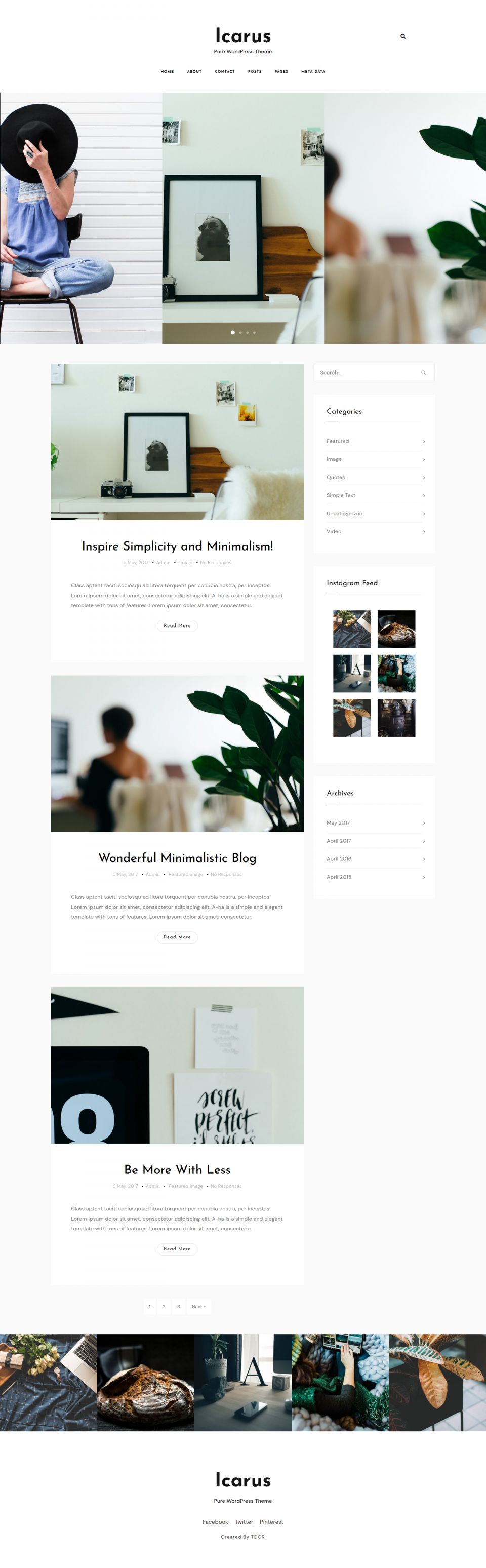 WordPress template ThemeForest Icarus