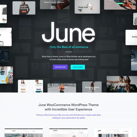 ThemeForest June