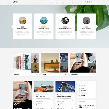 ThemeForest Linx