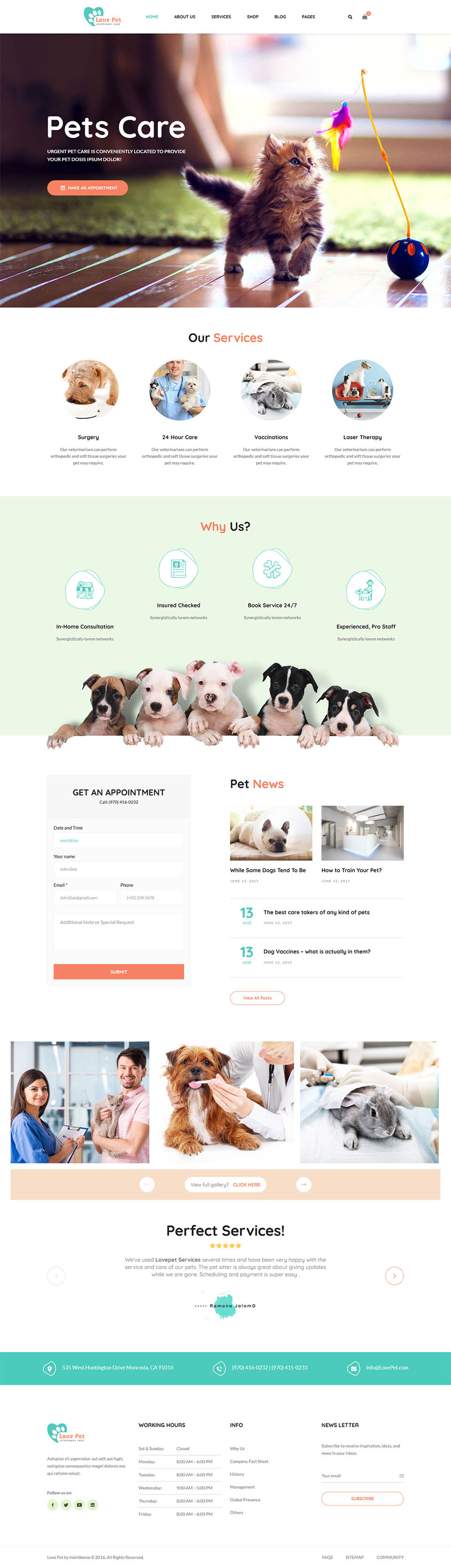 WordPress template ThemeForest LovePet