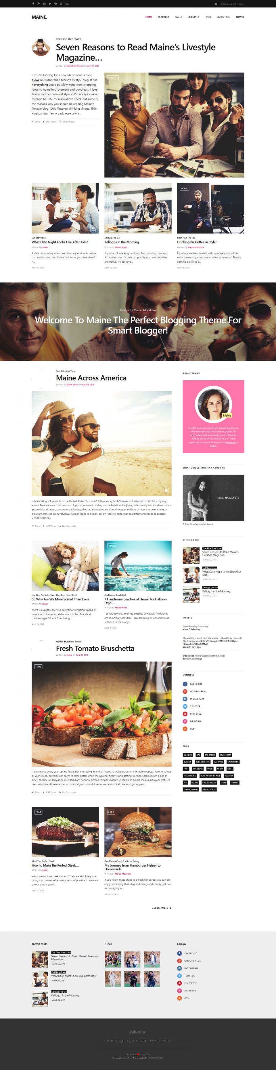 WordPress template ThemeForest Maine