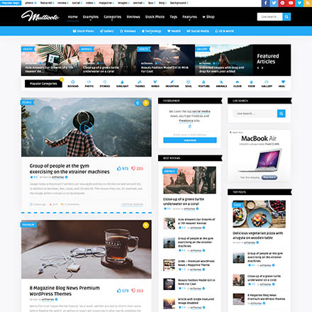 ThemeForest Multicote