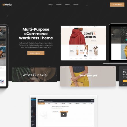 ThemeForest Molla