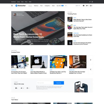 ThemeForest Networker