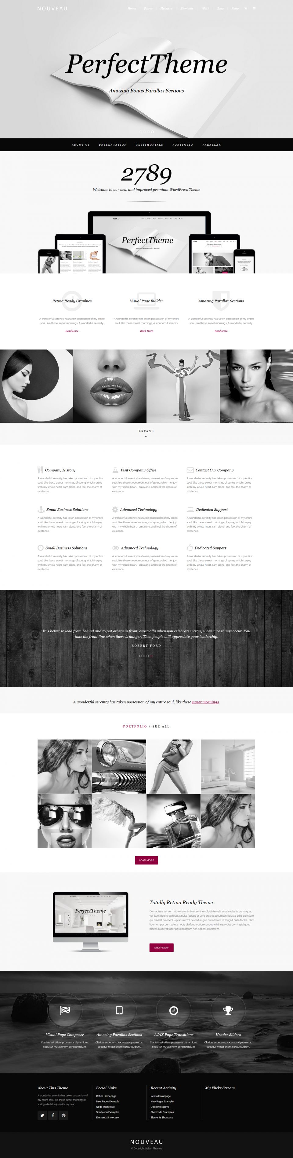 WordPress template ThemeForest Nouveau