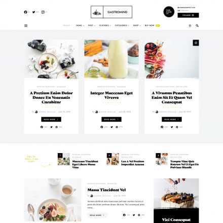 ThemeForest Overflow