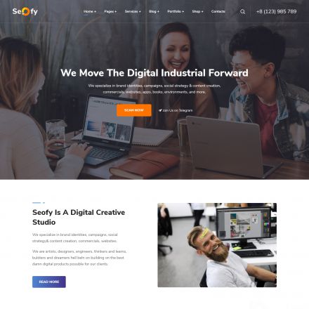 ThemeForest Seofy