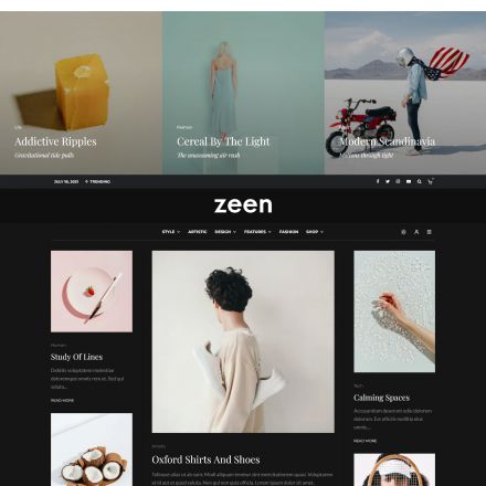 ThemeForest Zeen