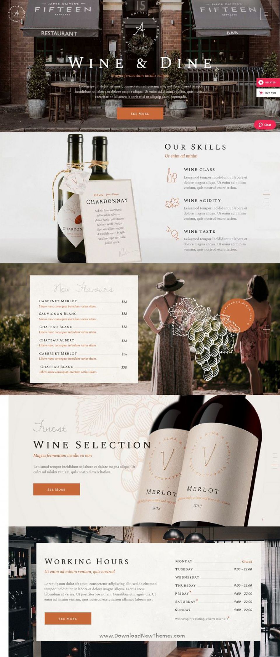 WordPress template ThemeForest Aperitif