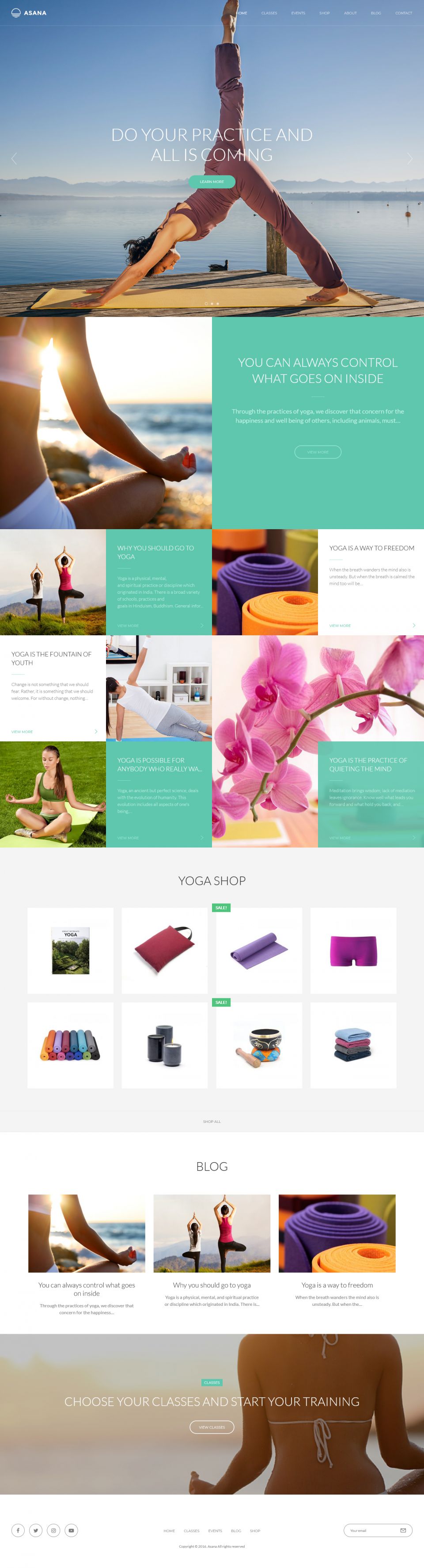 WordPress template ThemeForest Asana