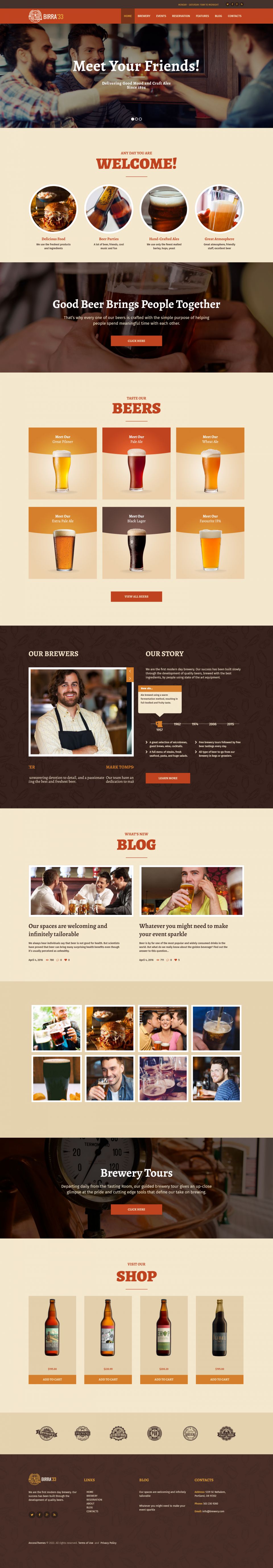 WordPress template ThemeForest Birra33