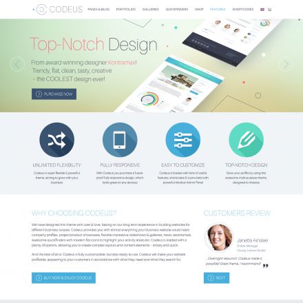 ThemeForest Codeus