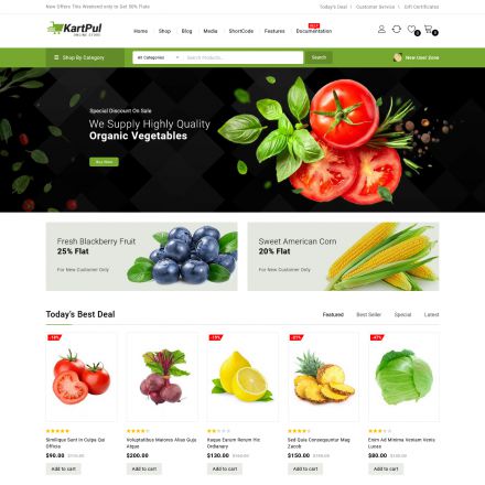 ThemeForest KartPul