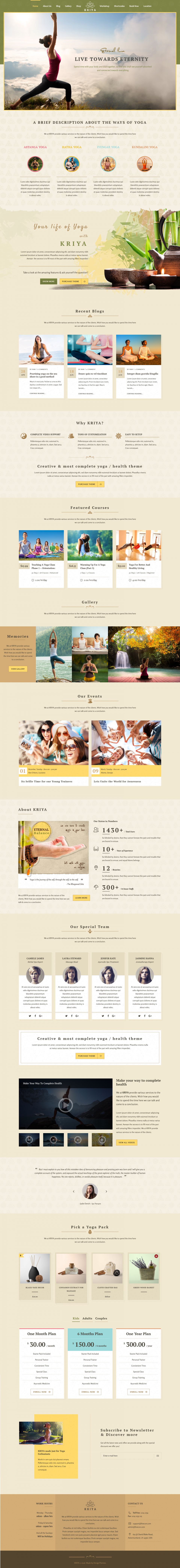 WordPress template ThemeForest Kriya